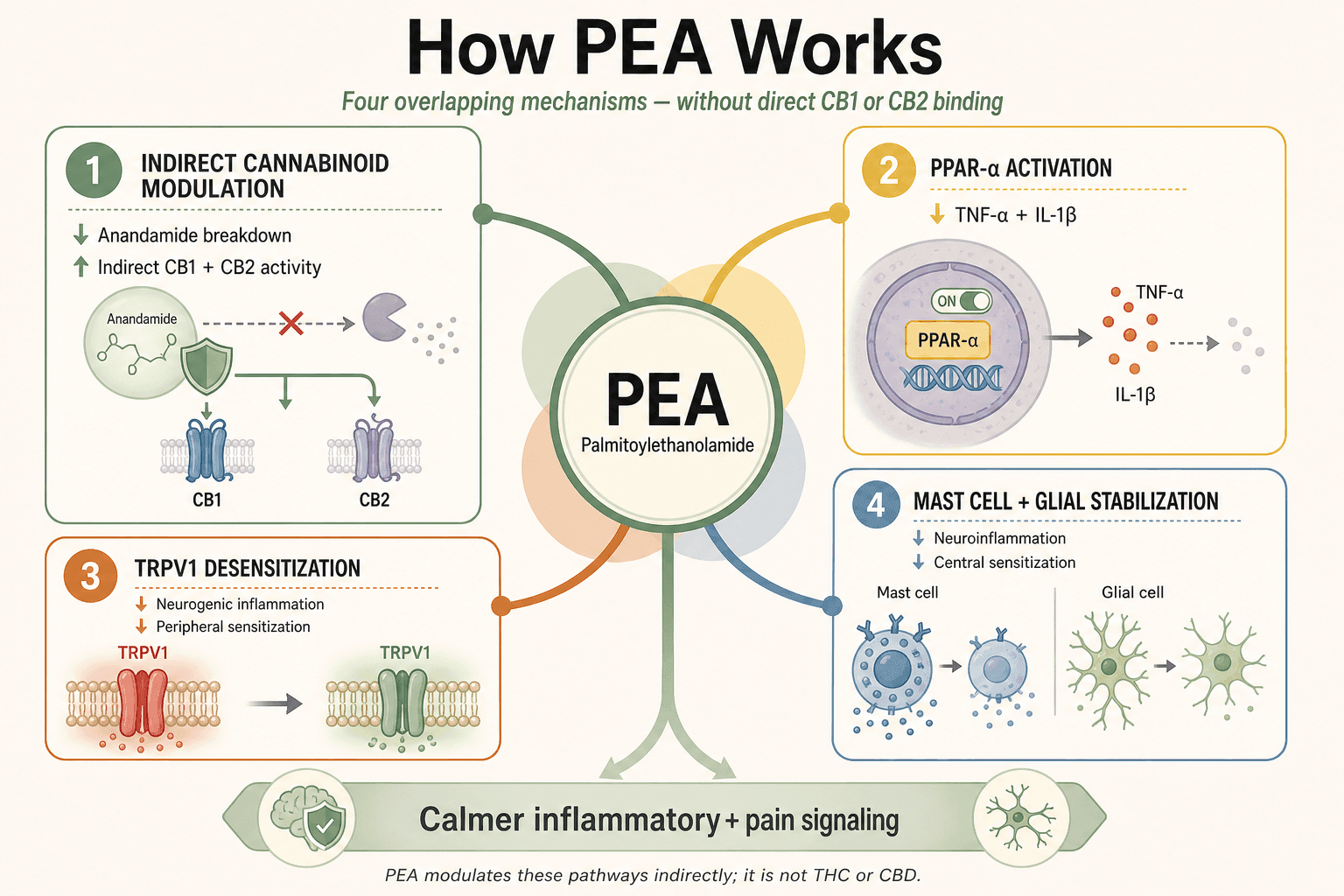 How PEA works How PEA works